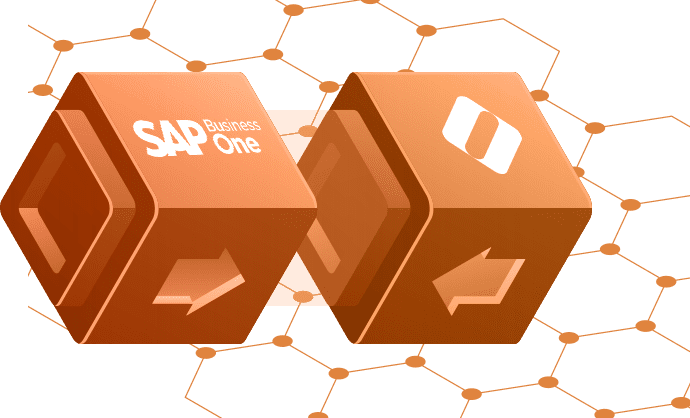 B2B-eCommerce-for-SAP-B1