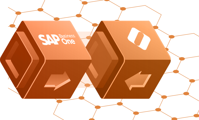 ecommerce sap business one ecommerce sap business one