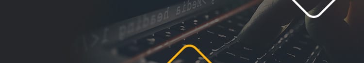 banner3