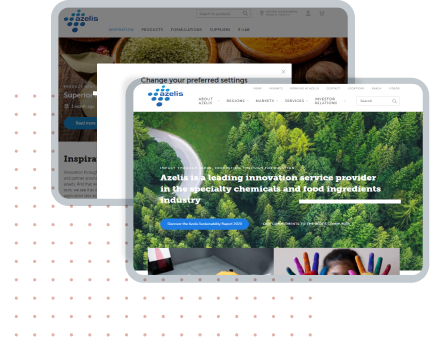 azelis benefits from cross border ecommerce