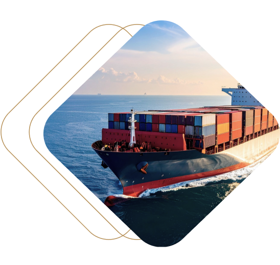 international ecommerce guide