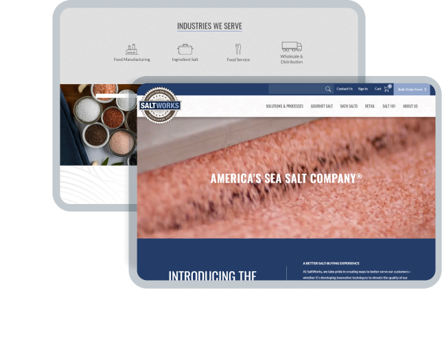saltworks marketing page