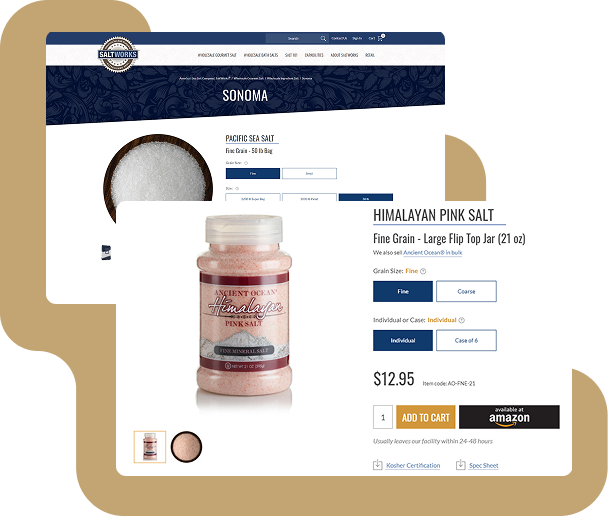 Saltworks case - ecommerce in manufacturing
