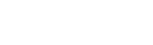 ipaas white