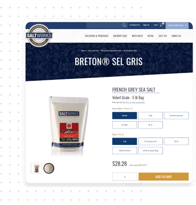 saltworks the solution