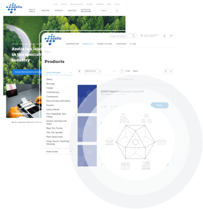 ecommerce pour Sociétés B2X