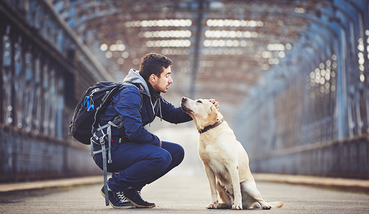 b2b customer loyalty program