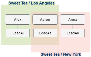 ../../../_images/leads_structure.png