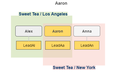 ../../../_images/leads_visibility_aaron.png