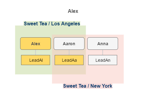 ../../../_images/leads_visibility_alex.png