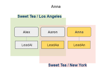 ../../../_images/leads_visibility_anna.png