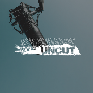 b2b commerce uncut - security and compliance