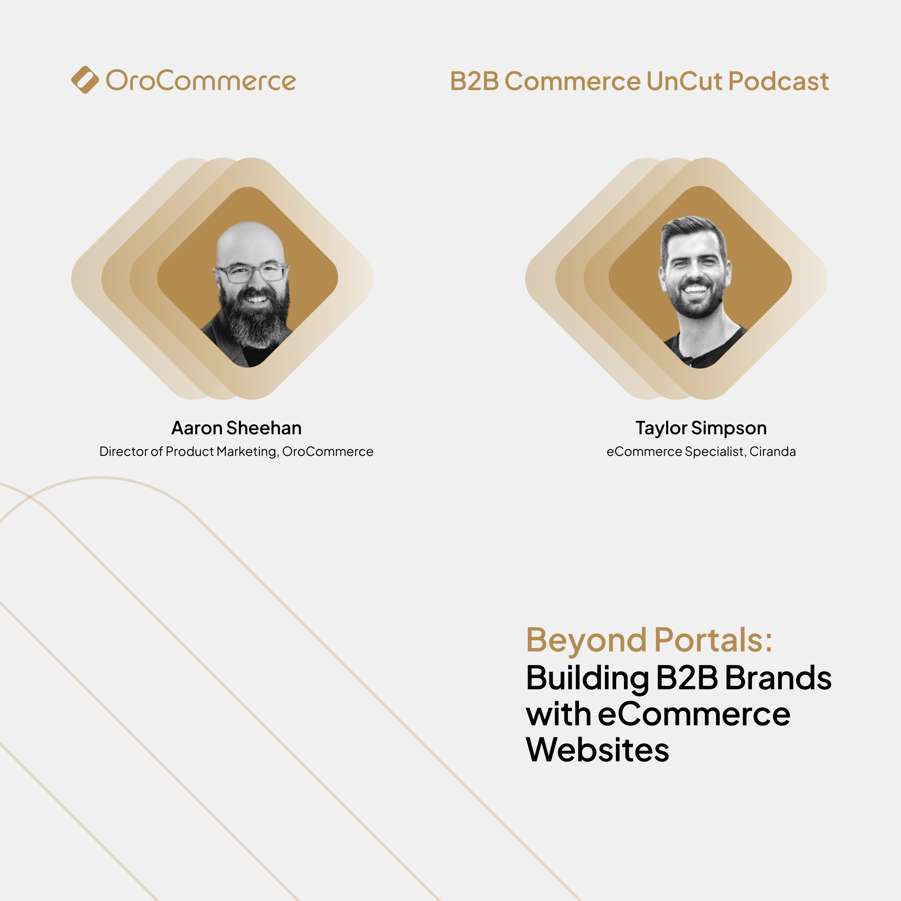 Building B2B Brands with eCommerce Websites cover (3)