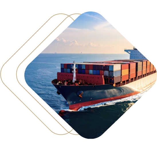 international ecommerce guide