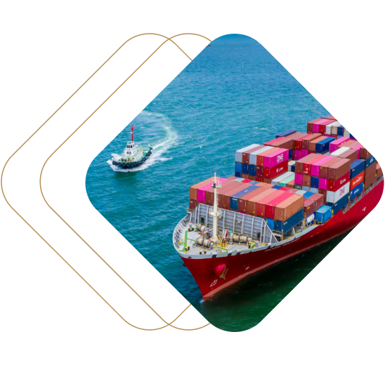 Digitizing Global B2B Commerce_ How to Turn Fragmented Operations into a Single, Scalable Engine